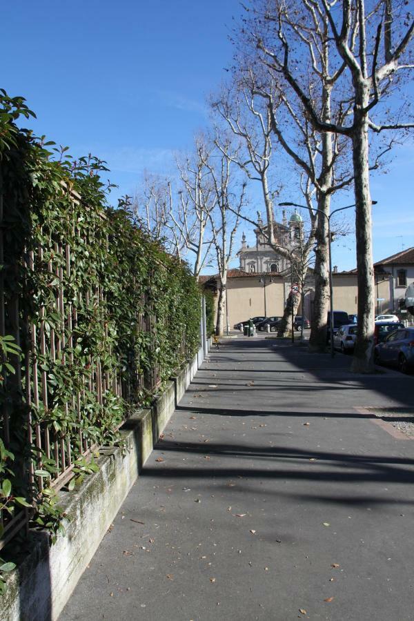 Maggiore Cozy Milán